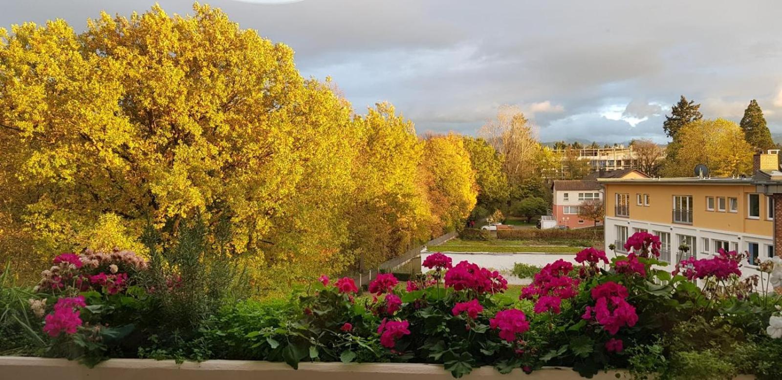 Mariaprimavera Apartment Am Kurpark Mit Schwarzwaldblick * * * * 巴特克罗青根 外观 照片