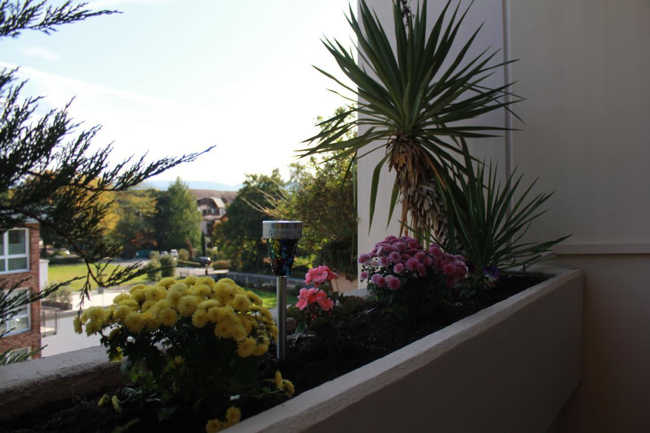 Mariaprimavera Apartment Am Kurpark Mit Schwarzwaldblick * * * * 巴特克罗青根 外观 照片