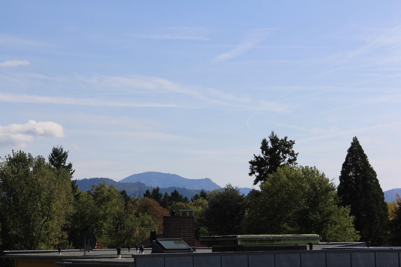 Mariaprimavera Apartment Am Kurpark Mit Schwarzwaldblick * * * * 巴特克罗青根 外观 照片